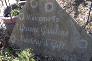Gruene Garden Nursery & Figt