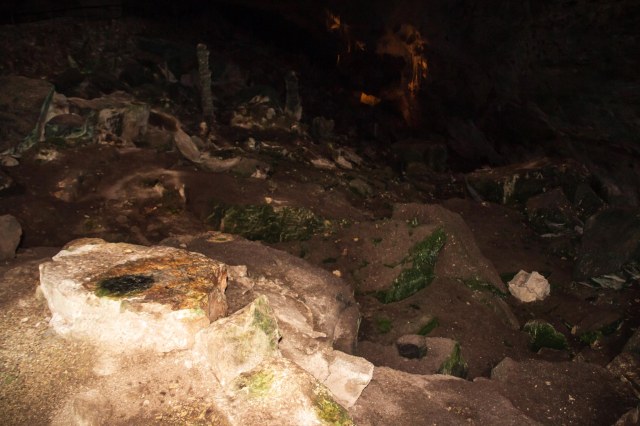Green algae inside a cave