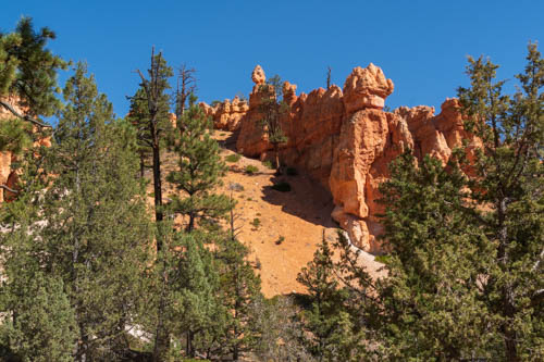 Pine trees, rock formations, and blue skies
